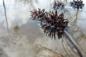 Prises de vue atelier trapet workshop g eau logique 6