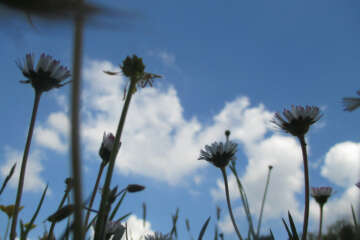 Prises de vue atelier trapet workshop g eau logique 9