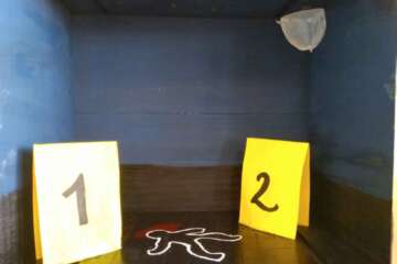 Workshop PIERRE QUI ROULE 2 Aurélien Mauplot 14