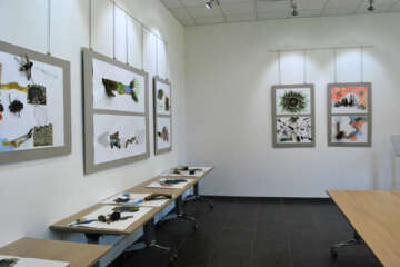 Exposition Treignac workshop Pascale Guerin Pierre qui roule 13