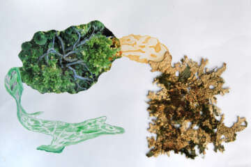 Exposition Treignac workshop Pascale Guerin Pierre qui roule 18