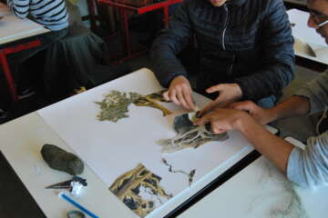 Workshop Pascale Guérin Pierre qui roule 4