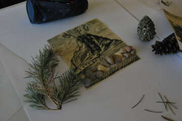 Workshop Pascale Guérin Pierre qui roule 8