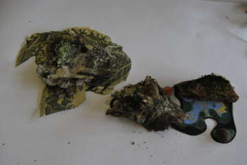 Workshop Pascale Guérin Pierre qui roule 14