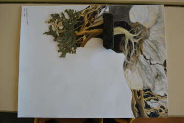 Workshop Pascale Guérin Pierre qui roule 53