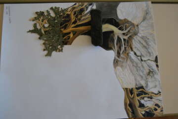 Workshop Pascale Guérin Pierre qui roule 56