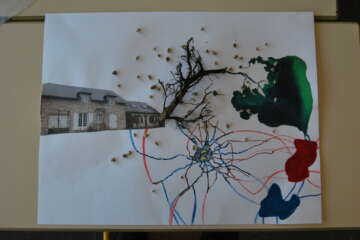 Workshop Pascale Guérin Pierre qui roule 62