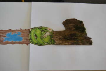 Workshop Pascale Guérin Pierre qui roule 70