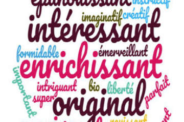 Bilan élèves pierre qui roule 1