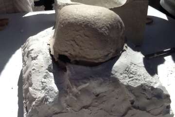 Workshop terre à terre 1 9