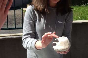 Workshop terre à terre 1 10