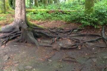 Workshop terre à terre 1 25