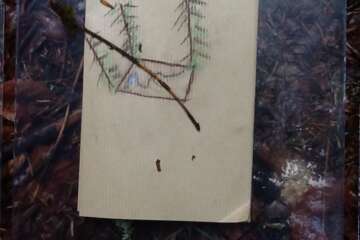 Workshop terre à terre 1 32