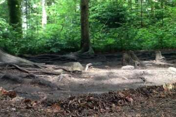 Workshop terre à terre 1 43