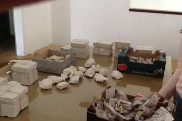 Workshop terre à terre 1 45