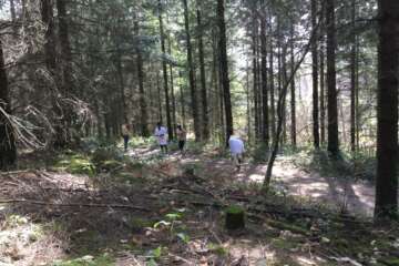 Workshop terre à terre- Morgane Kabiry - 2018-19