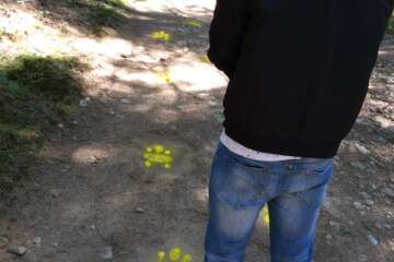 Workshop terre à terre- Morgane Kabiry - 2018-19