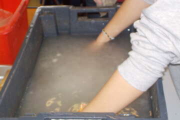 Workshop limpact de nos actes Dom Ruiz 8