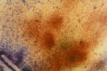 Workshop limpact de nos actes Jean Paul Ruiz 1