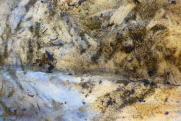 Workshop limpact de nos actes Jean Paul Ruiz 2