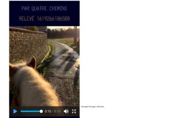 Article de restitution Etre au paysage Marguerite de Valois page 0018