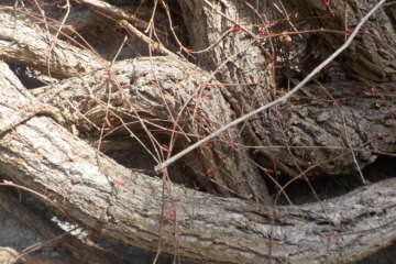 Workshop paysage ping pong - Franck Gérard