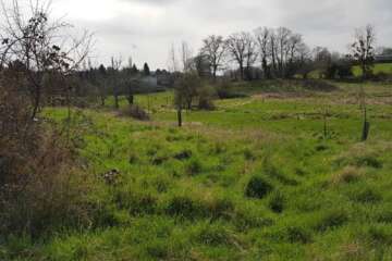 Workshop paysage ping pong - Franck Gérard